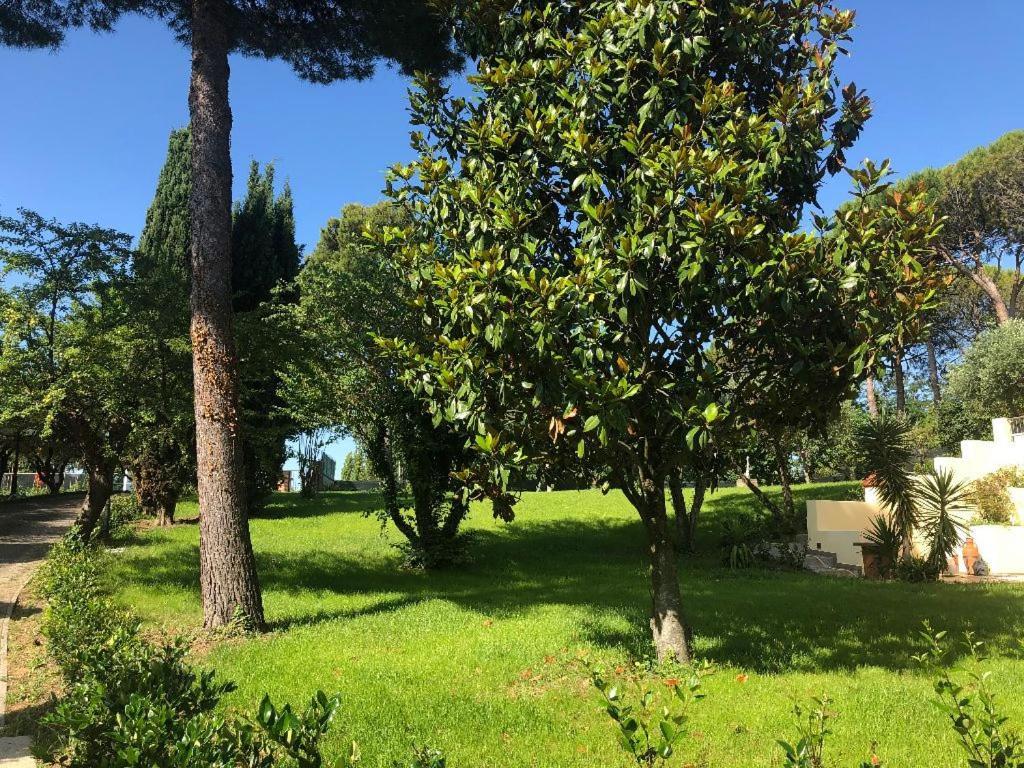Residenza Verdemare Misano Adriatico Dış mekan fotoğraf